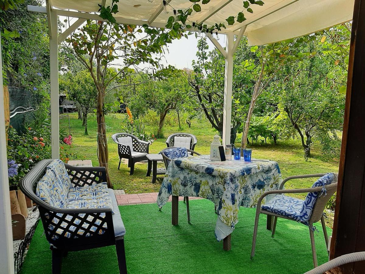 Tom E Jerry Bed and Breakfast Domus De Maria Exterior foto